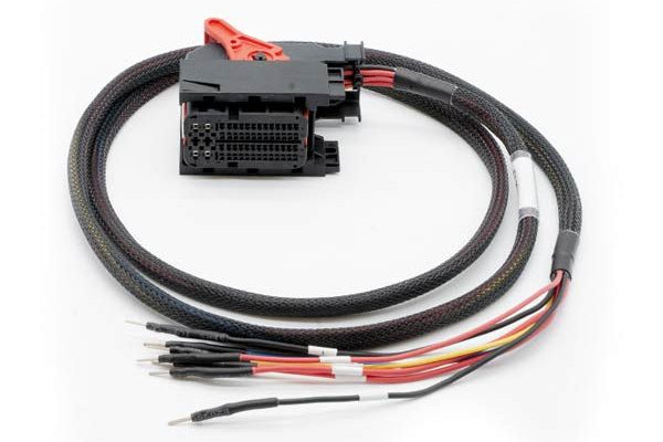 DENSO ECU cable for Magicmotorsport Flex – main view