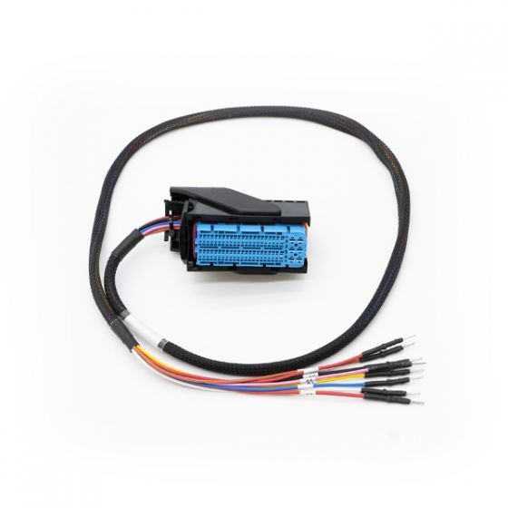 Close-up of FLX2.40 cable for DENSO ECU