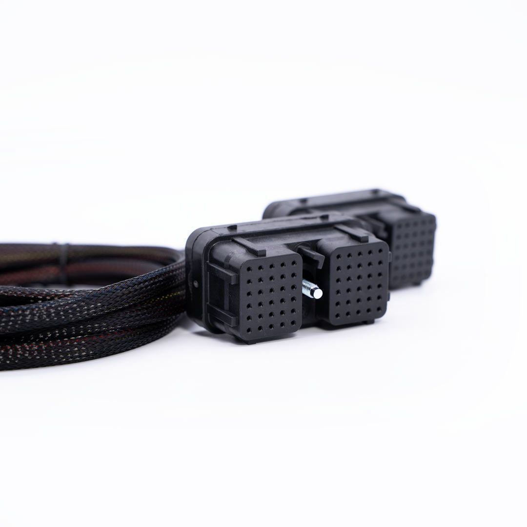 Close-up of a black cable with connectors on a white background