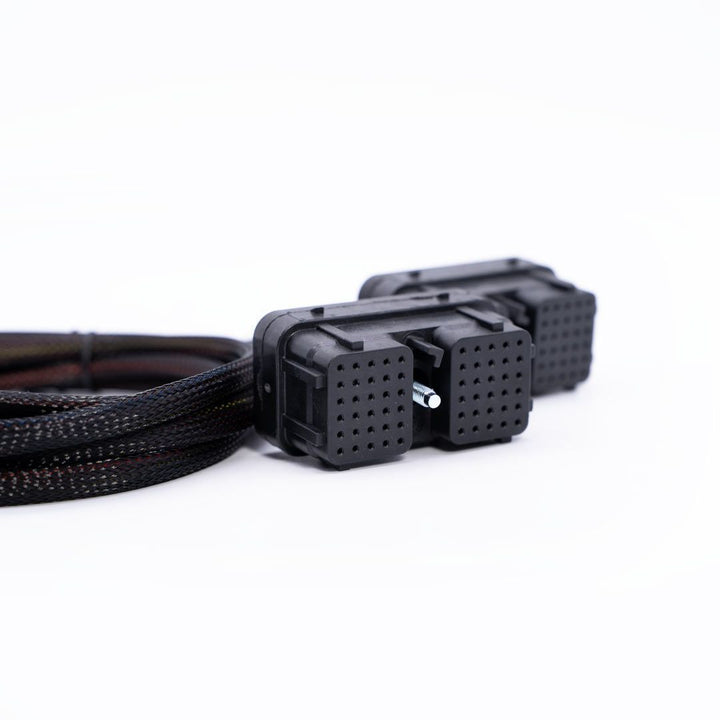 Close-up of a black cable with connectors on a white background