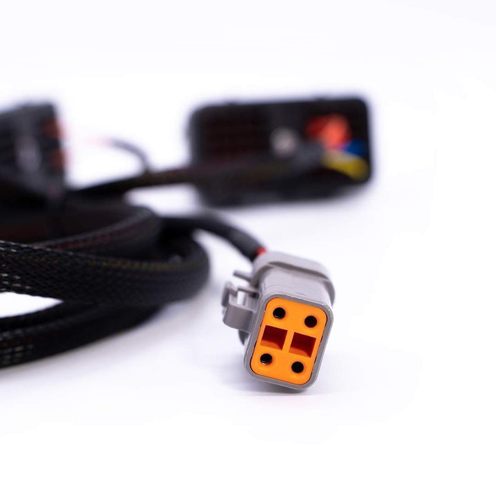 Close-up of a wiring harness connector on a white background