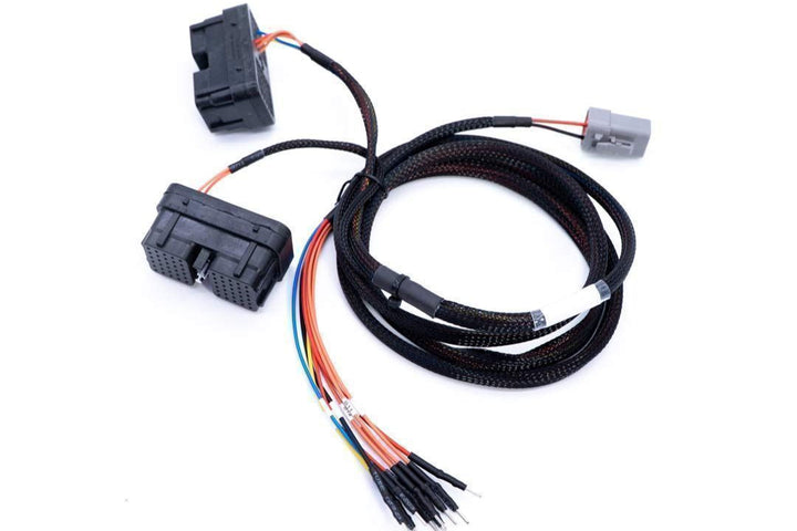 Car wiring harness with connectors on a white background