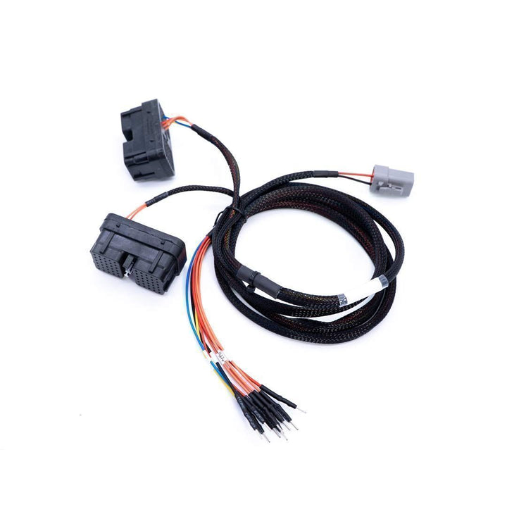 Car wiring harness with connectors on a white background