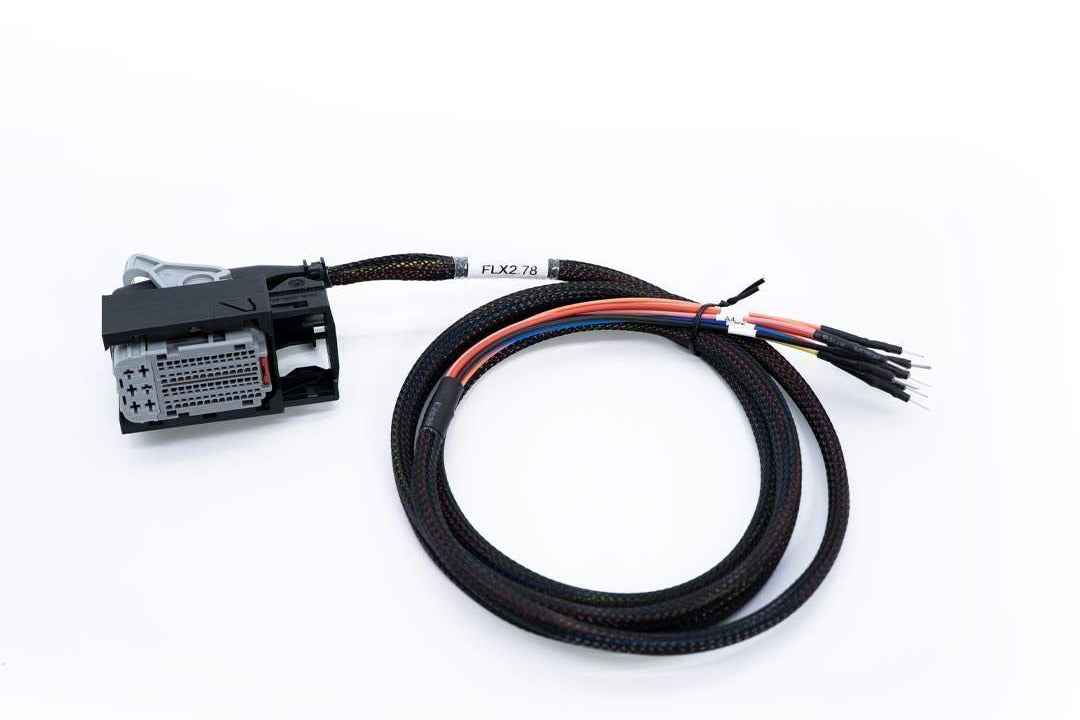 Car wiring harness with connectors on a white background