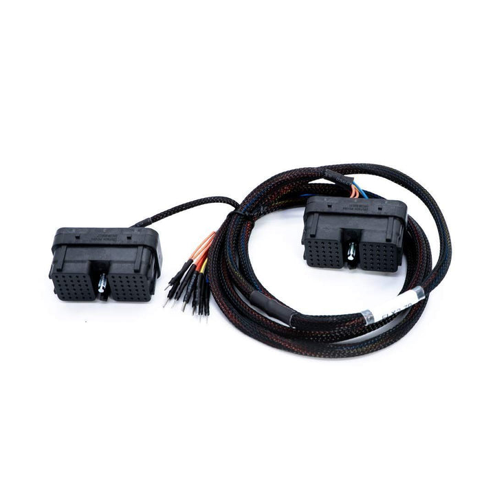 Car wiring harness with connectors on a white background