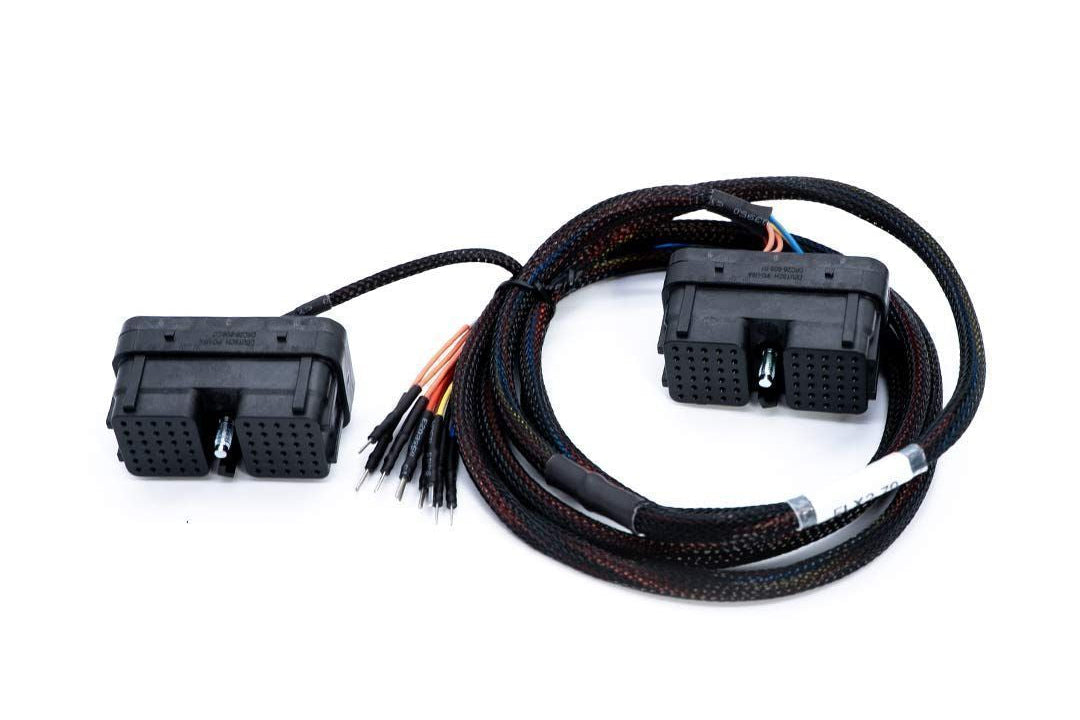 Car wiring harness with connectors on a white background