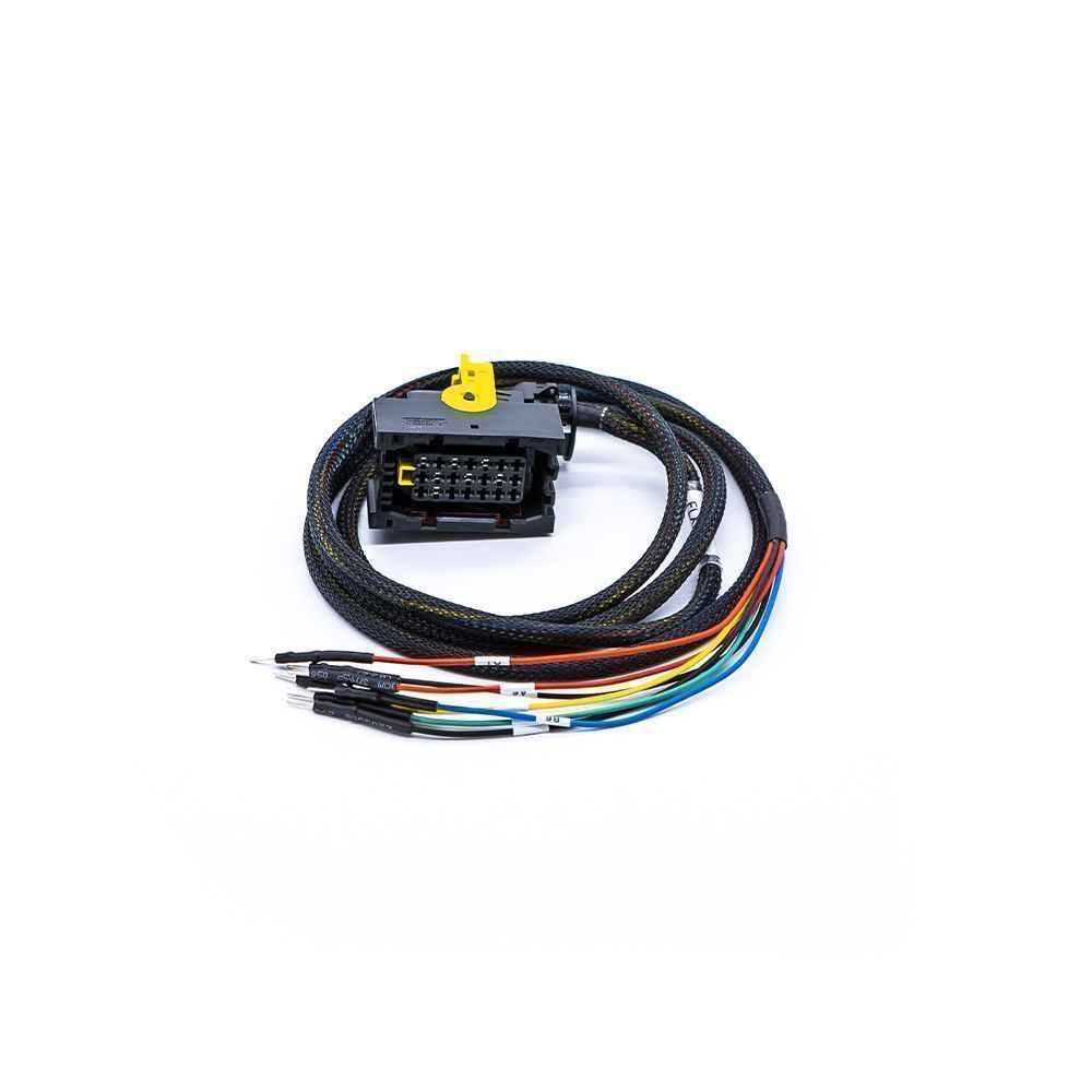 Wiring harness with connectors on a white background