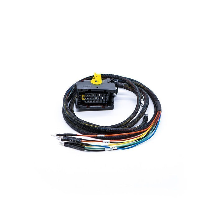 Wiring harness with connectors on a white background