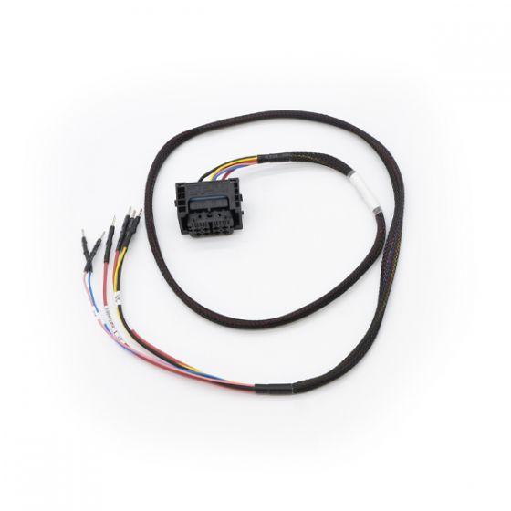 ECU wiring harness for MDG1 Flex connection
