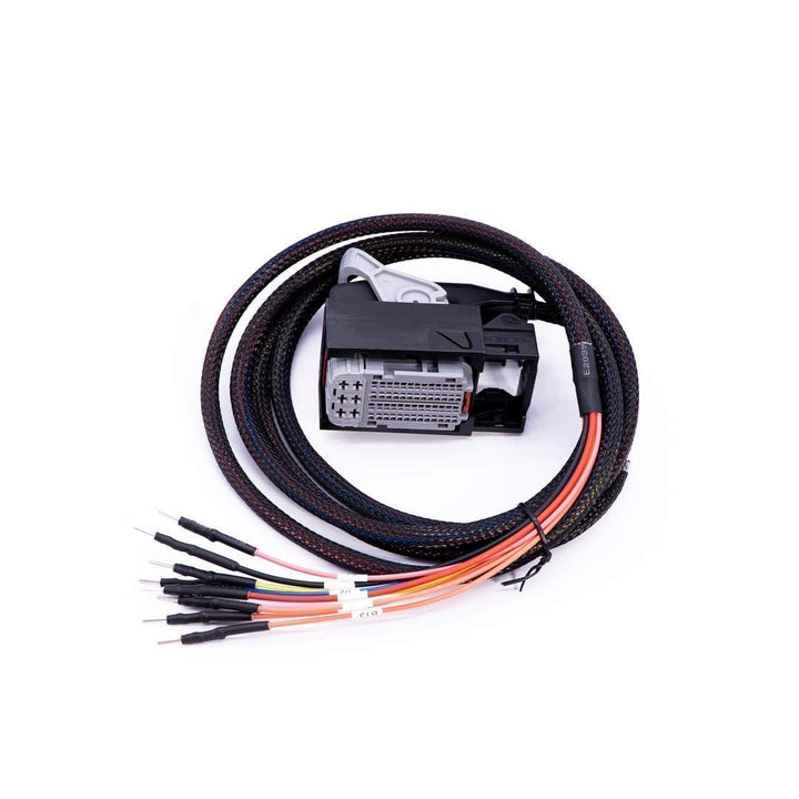 Wiring harness with connectors on a white background